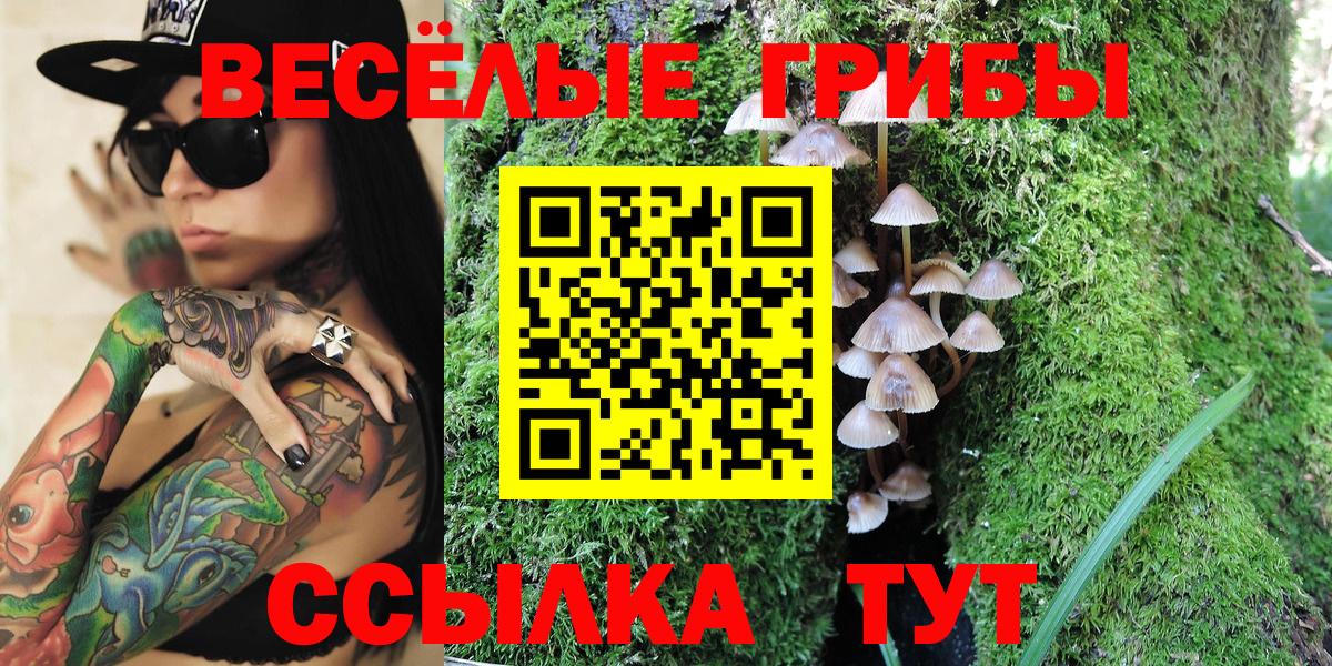 Псилоцибиновые грибы Psilocybine cubensis Ишим