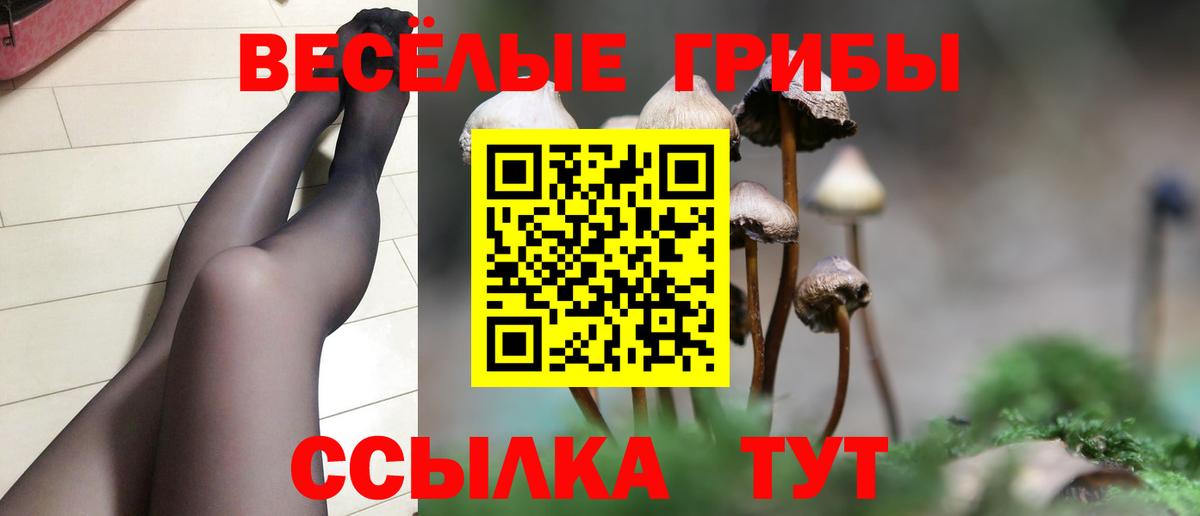 Псилоцибиновые грибы Psilocybe  что такое   Ишим  Вход с VPN 